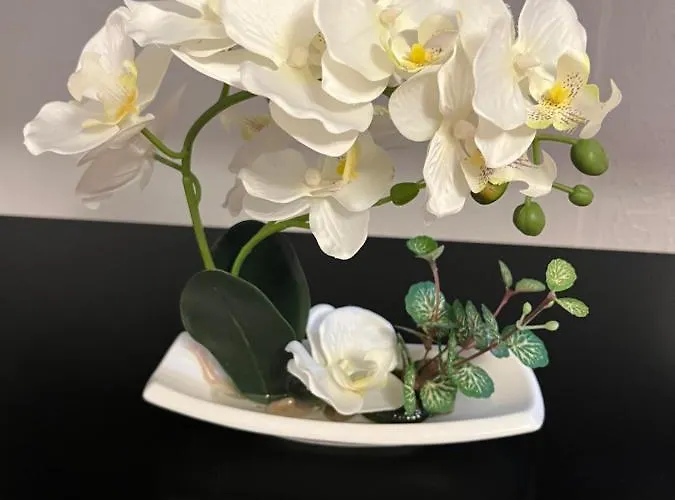 Guest house Helin's Whitby