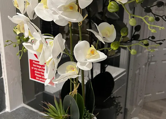 Helin's Konukevi Whitby