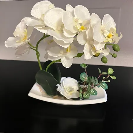 게스트하우스 Helin's 휫비