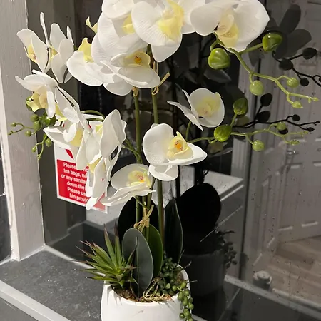 Helin's 게스트하우스 휫비